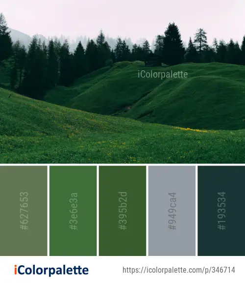Palette Ideas from Grassland Green Nature Image | iColorpalette
