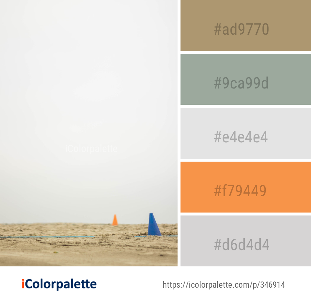 Color Palette Ideas from Horizon Sky Shore Image
