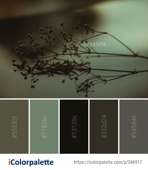 Color Palette Ideas from Macro Photography Twig Close Up Image