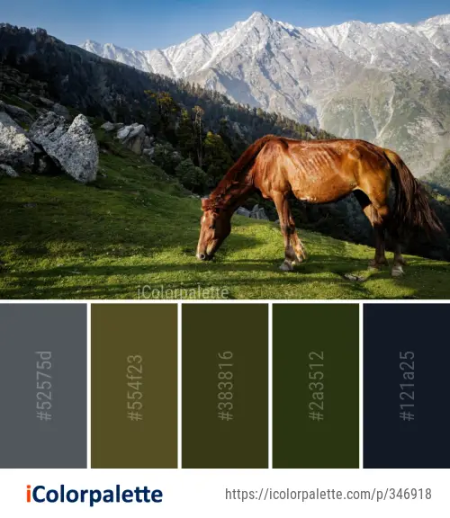 Color Palette Ideas from Mountainous Landforms Grassland Nature Image