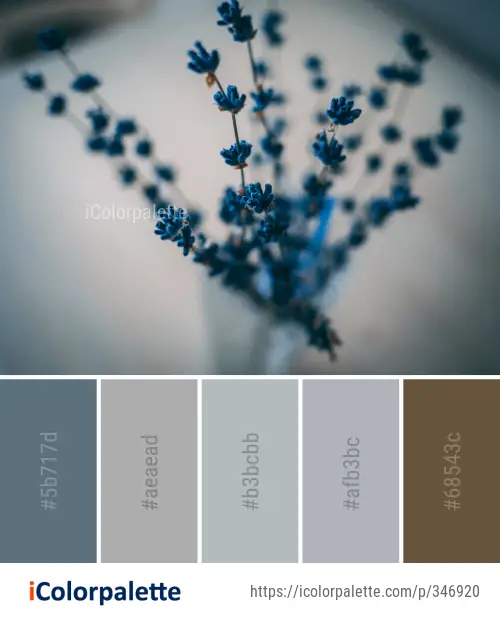 Color Palette Ideas from Blue Macro Photography Close Up Image