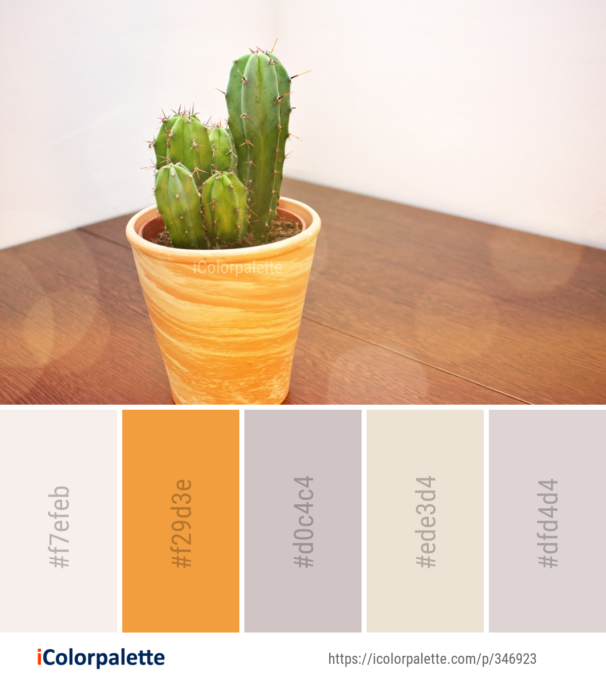 Color Palette Ideas from Plant Flowerpot Vase Image