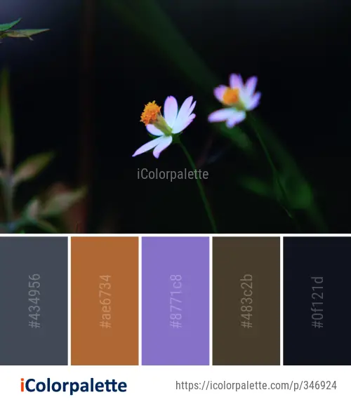 Color Palette Ideas from Flower Flora Plant Image