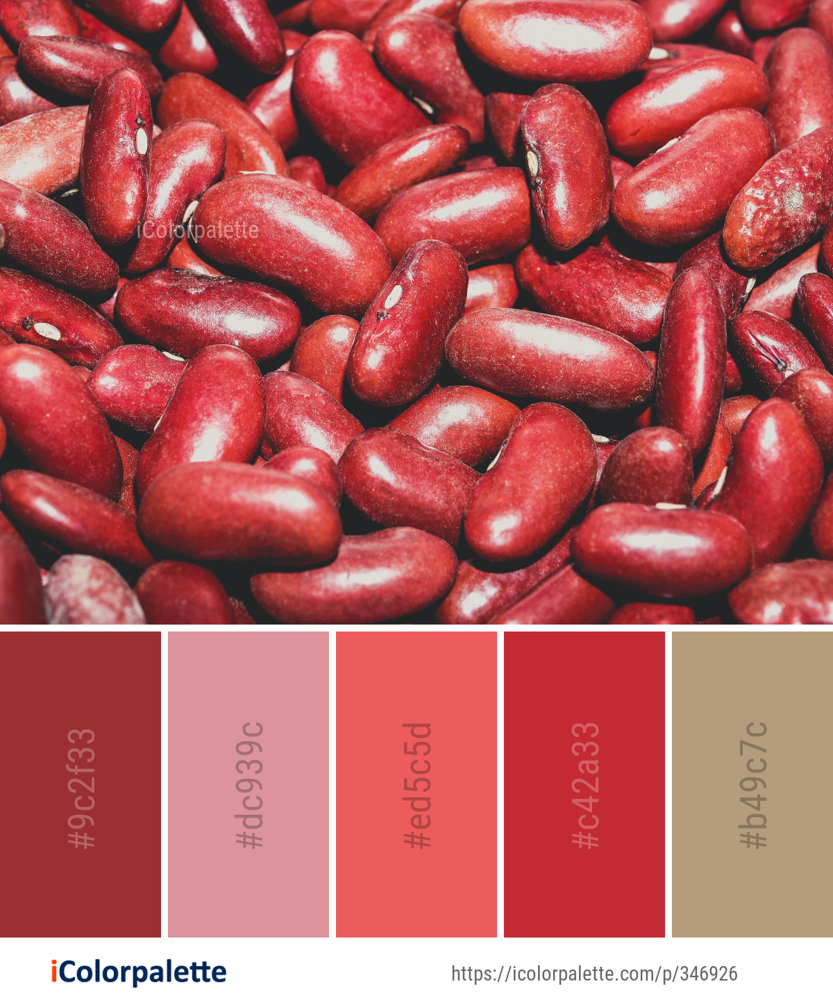 Color Palette Ideas from Azuki Bean Ingredient Image