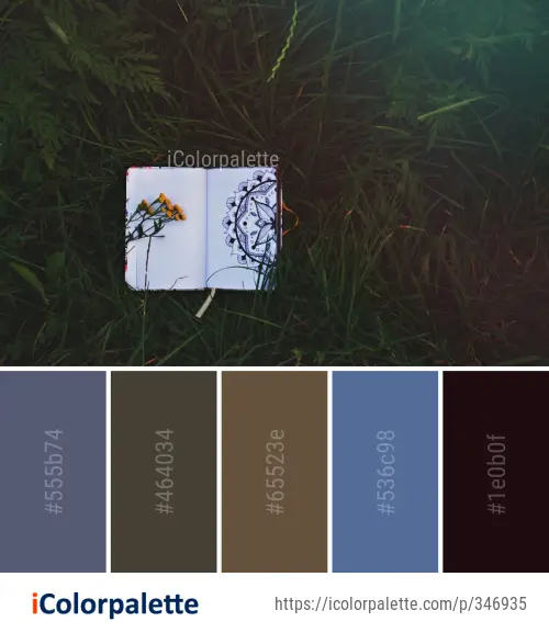 Color Palette Ideas from Nature Green Grass Image