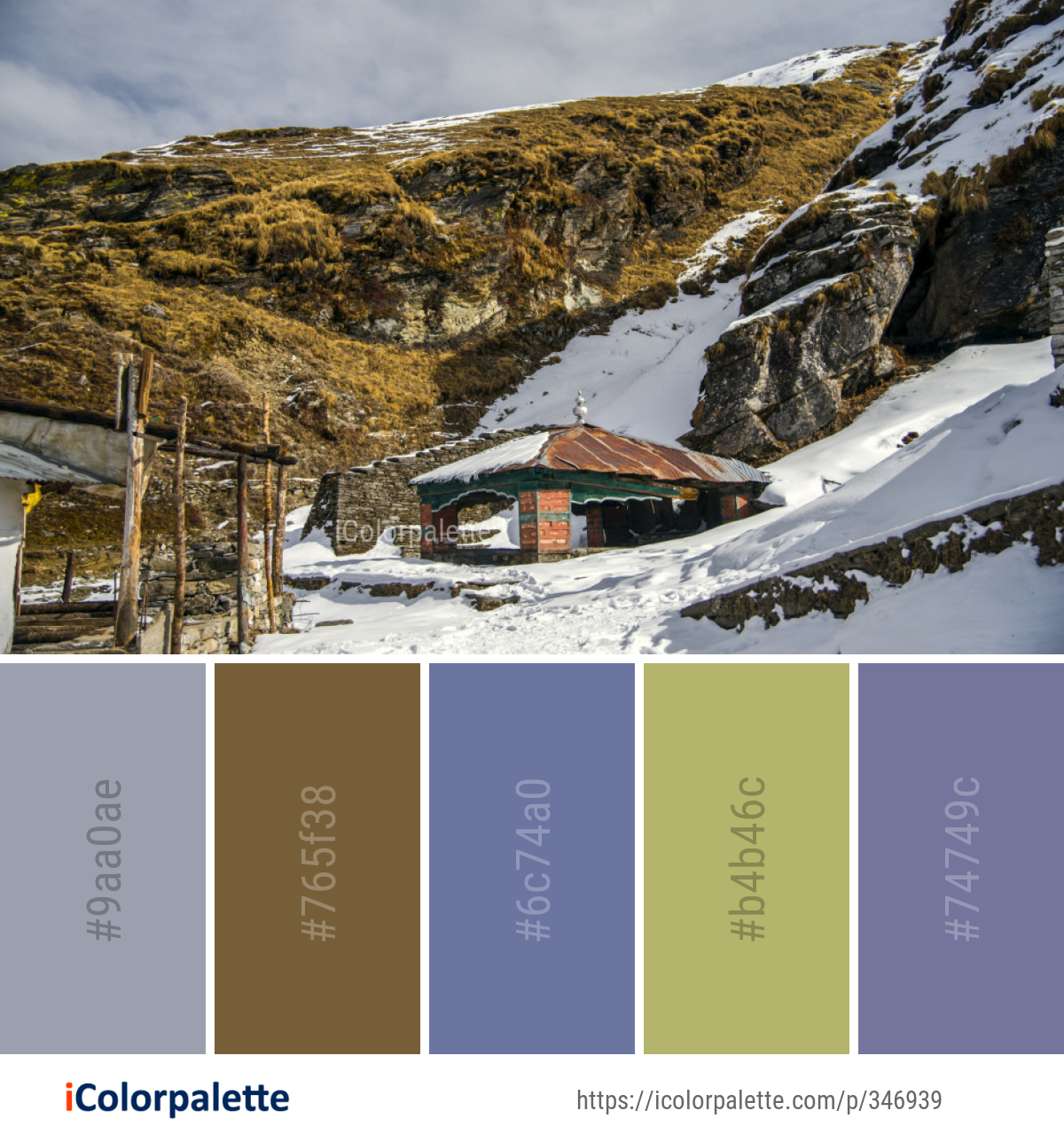 Color Palette Ideas from Snow Winter Mountainous Landforms Image