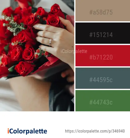 Color Palette Ideas from Flower Rose Red Image