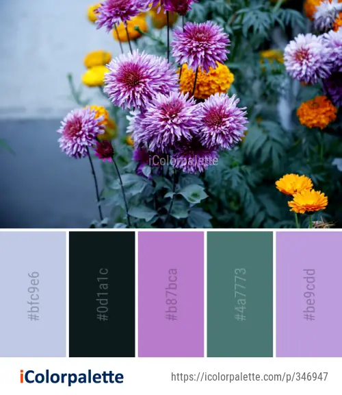 Color Palette Ideas from Flower Plant Purple Image