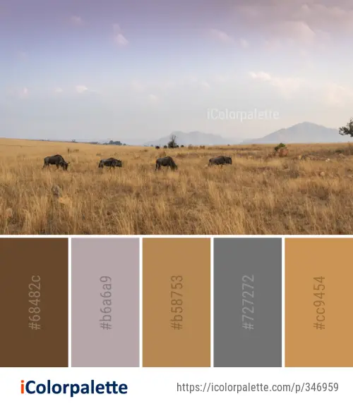 Color Palette Ideas from Grassland Wildlife Ecosystem Image