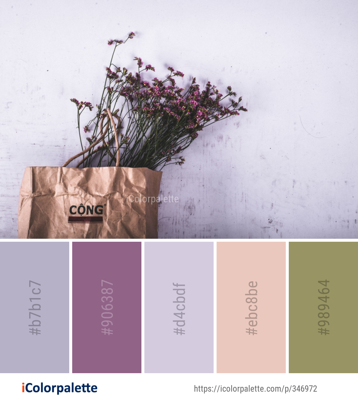 Color Palette Ideas from Purple Plant Flower Image