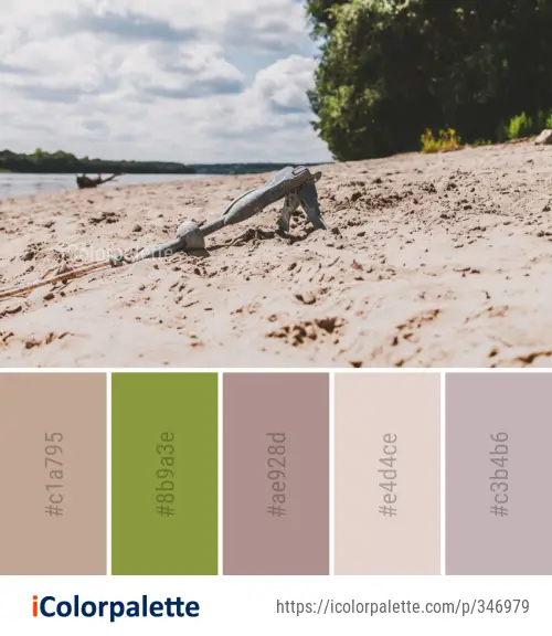 Color Palette Ideas from Beach Shore Sand Image