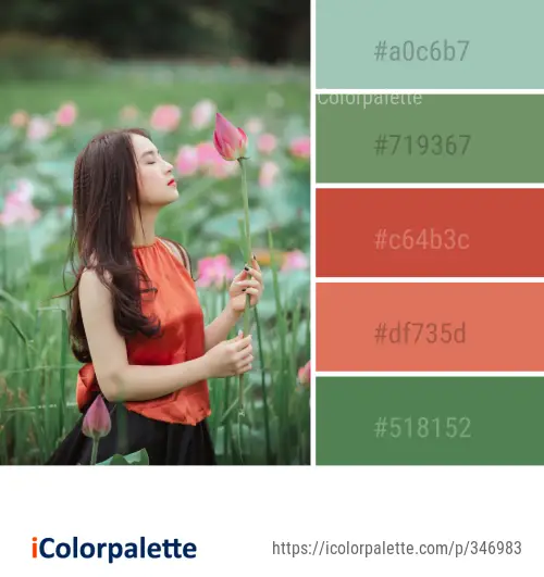 Color Palette Ideas from Flower Pink Beauty Image