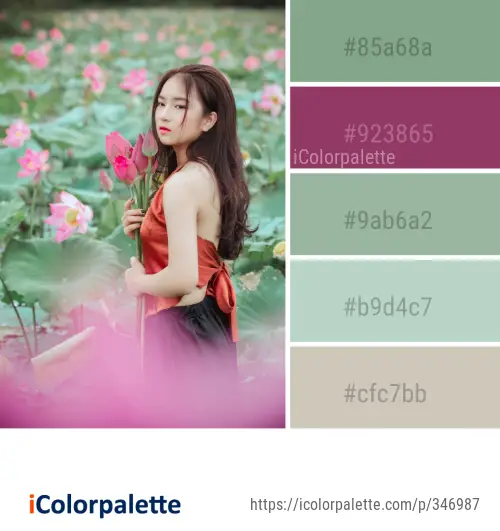 Color Palette Ideas from Flower Pink Skin Image