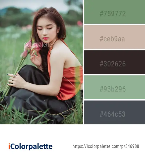 Color Palette Ideas from Beauty Sitting Lady Image
