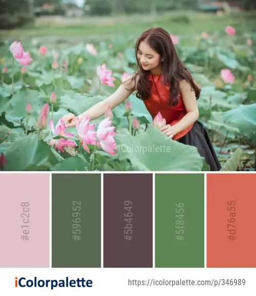 Color Palette Ideas from Flower Plant Pink Image