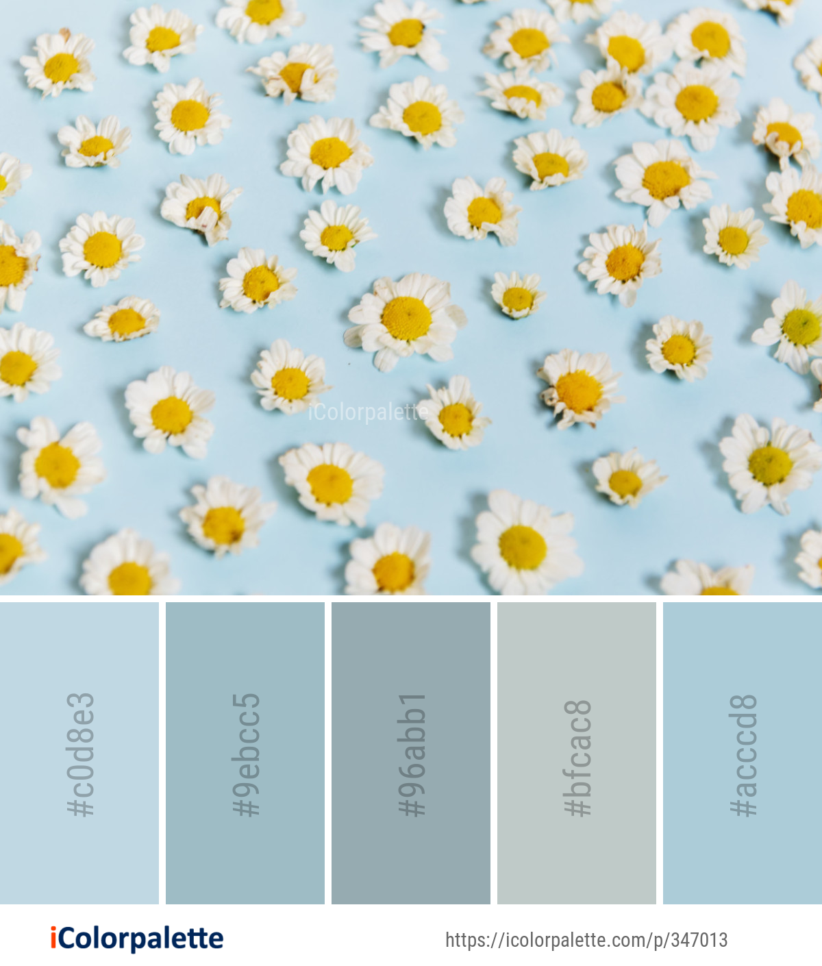 Color Palette Ideas from Flower Yellow Sunflower Image