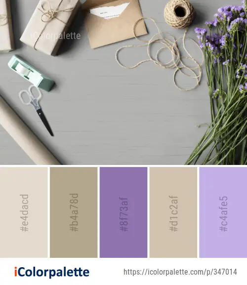 Color Palette Ideas from Flower Image