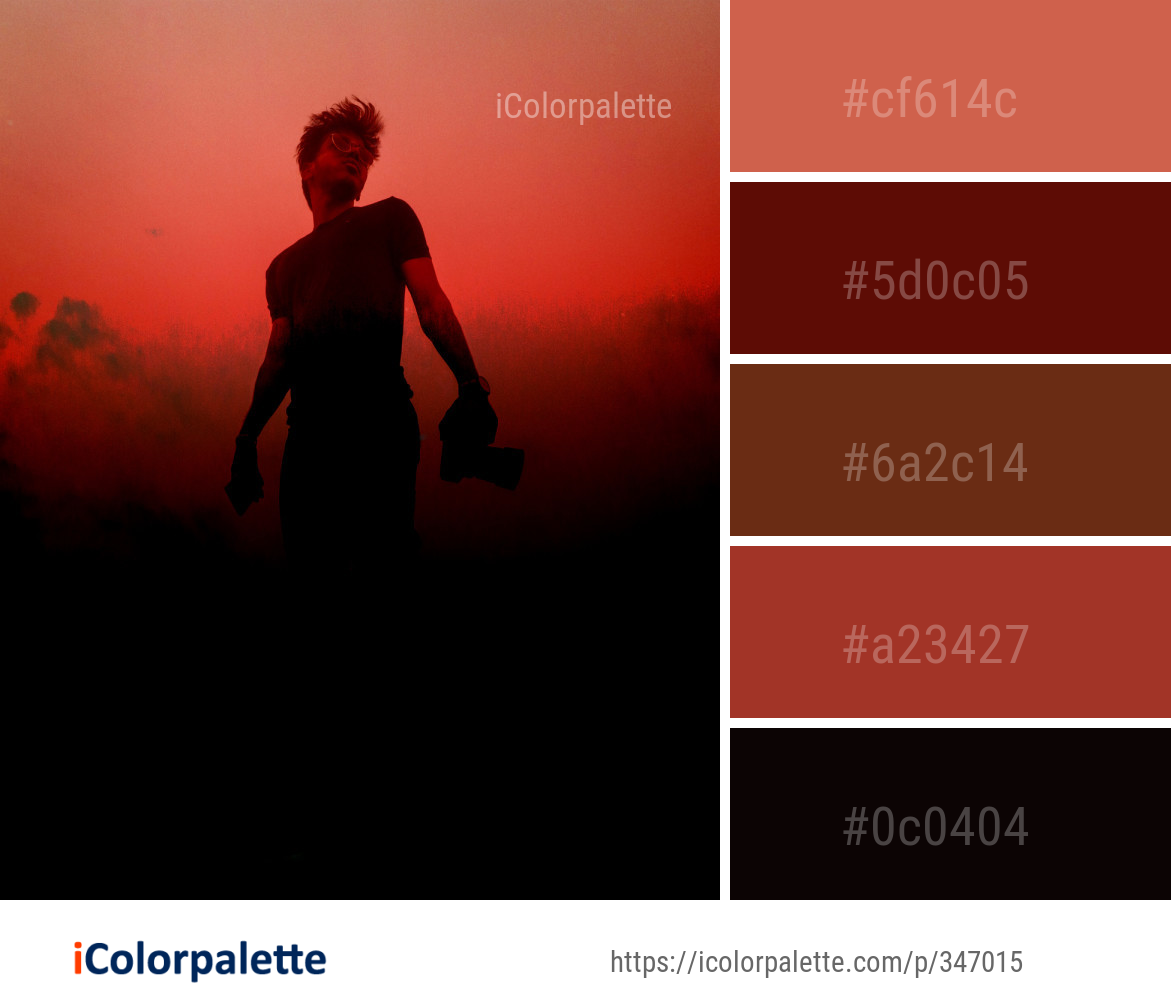Color Palette Ideas from Red Sky Silhouette Image