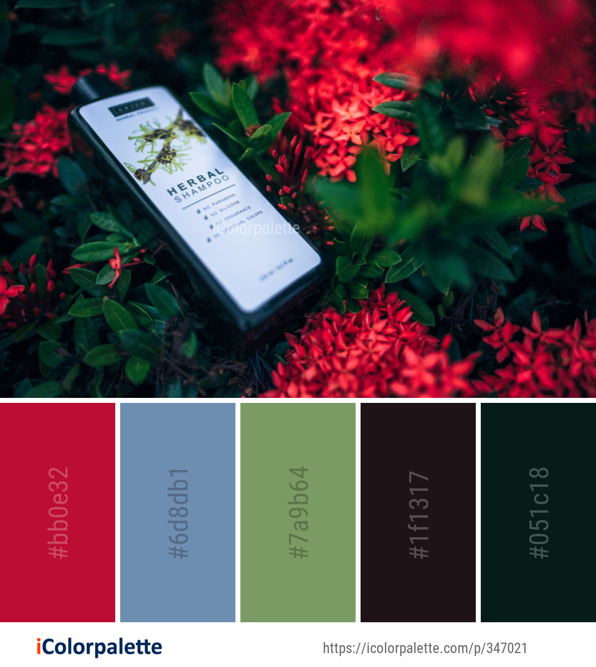 Color Palette Ideas from Red Flower Flora Image