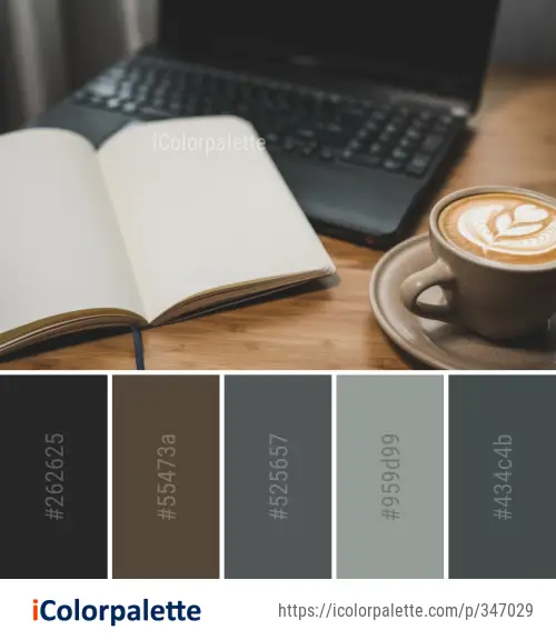 Color Palette Ideas from Coffee Cup Image