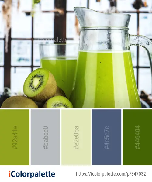 Color Palette Ideas from Juice Drink Smoothie Image