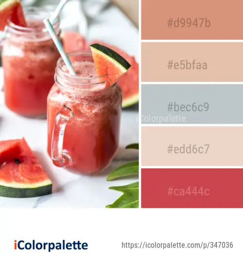 Color Palette Ideas from Watermelon Melon Juice Image