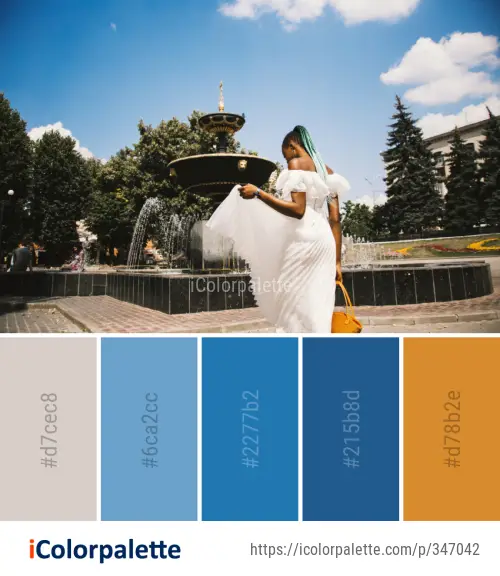 Color Palette Ideas from Photograph Photography Dress Image