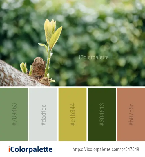 Color Palette Ideas from Leaf Vegetation Flora Image