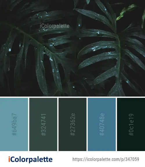 Color Palette Ideas from Green Water Leaf Image