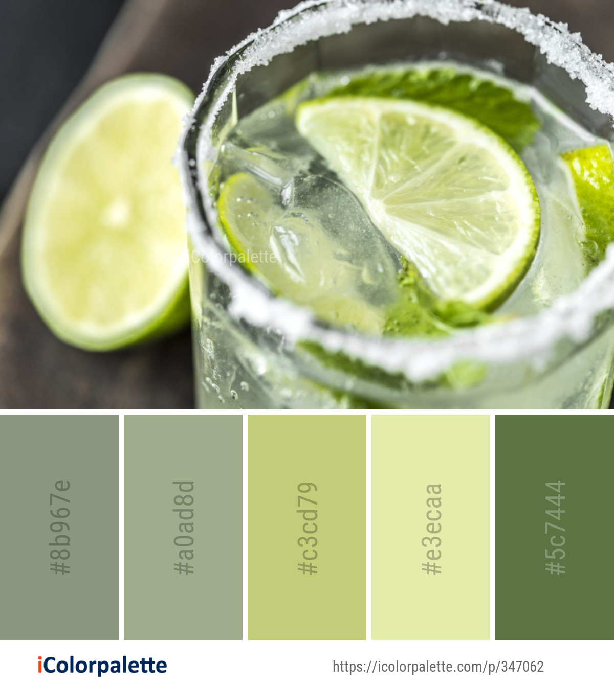 Color Palette Ideas from Lime Drink Caipirinha Image