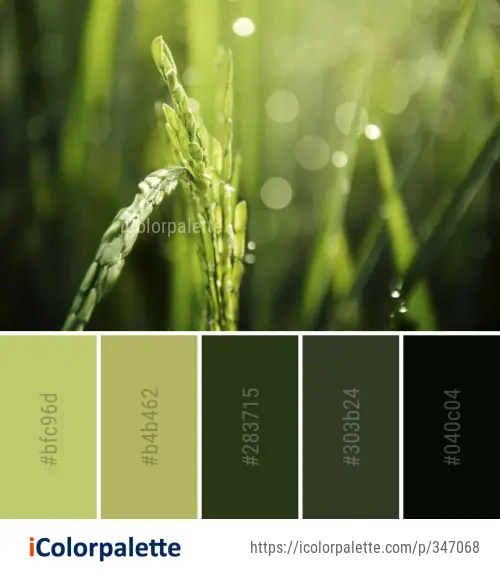 Color Palette Ideas from Water Grass Family Image