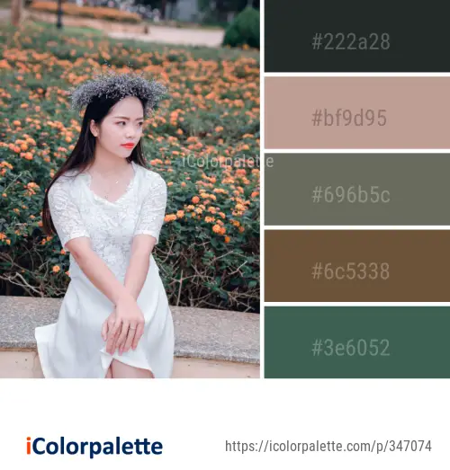 Color Palette Ideas from Hair Accessory Beauty Lady Image