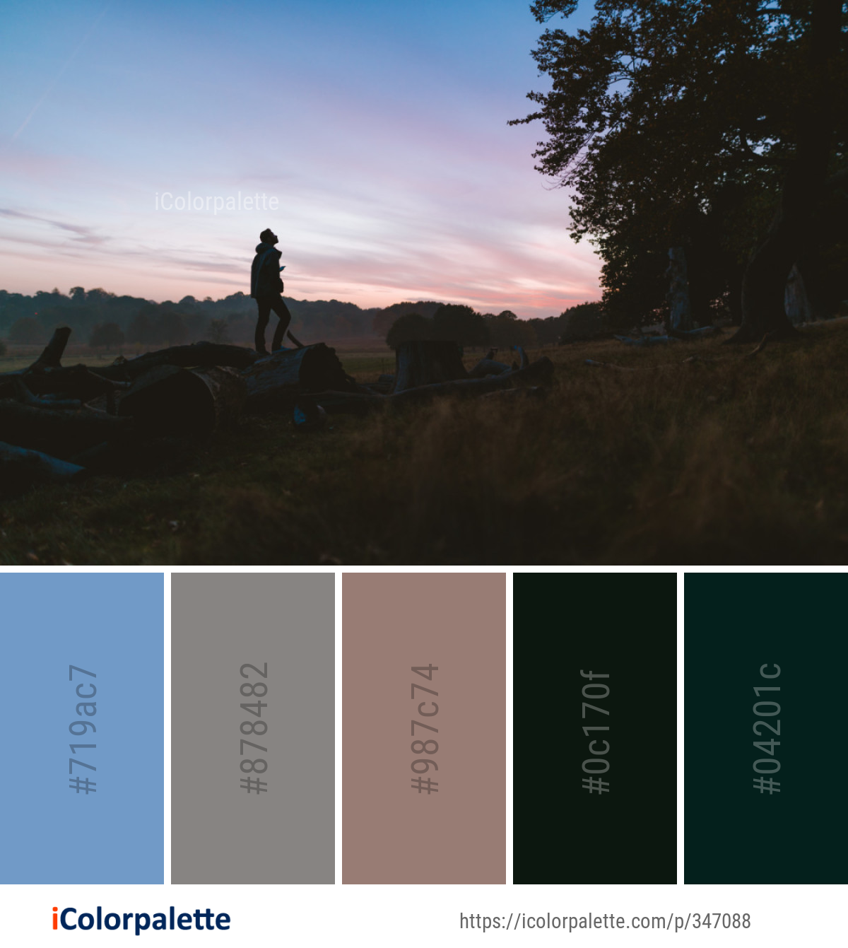 Color Palette Ideas from Sky Tree Dawn Image