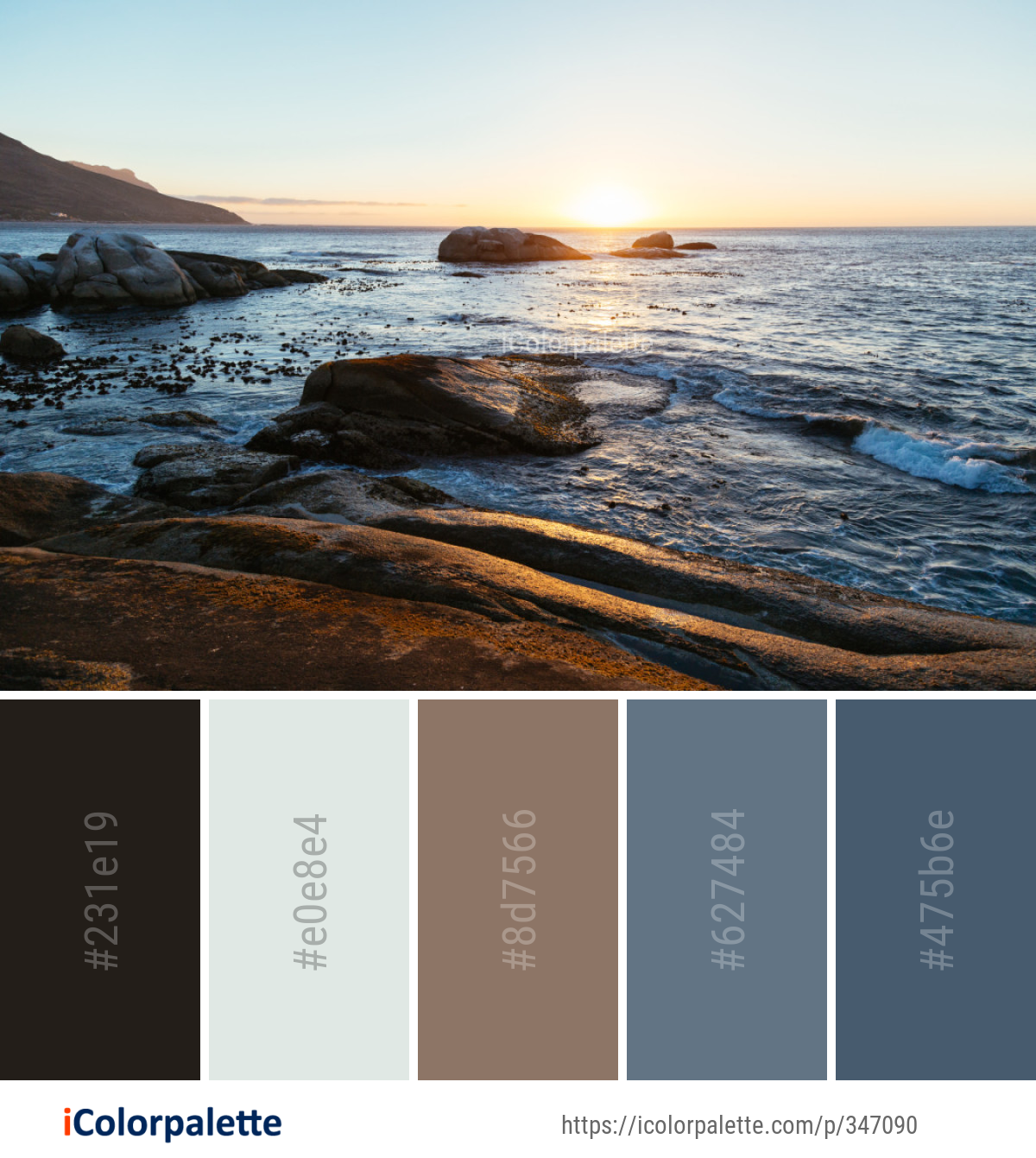 Color Palette Ideas from Sea Body Of Water Shore Image