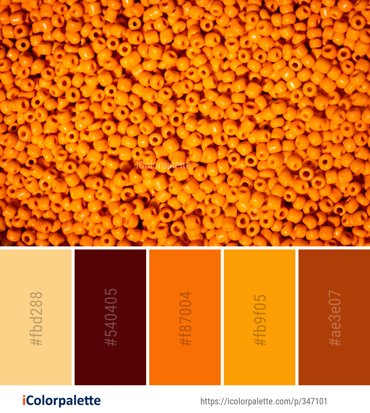 Color Palette Ideas from Orange Pattern Image