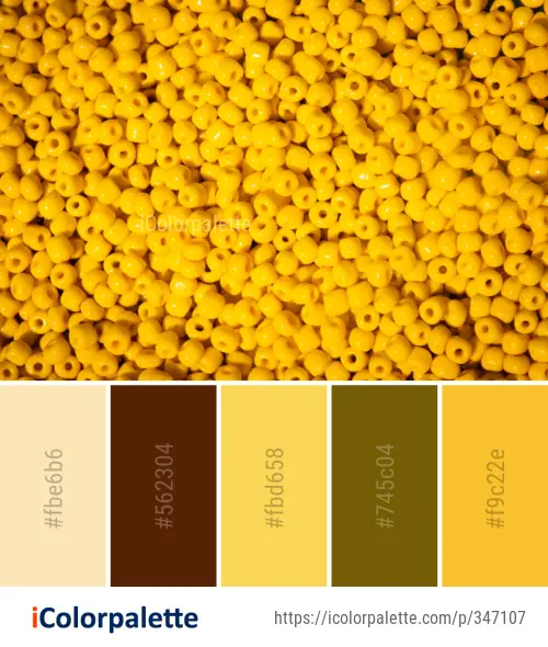 Color Palette Ideas from Yellow Vegetarian Food Mixture Image