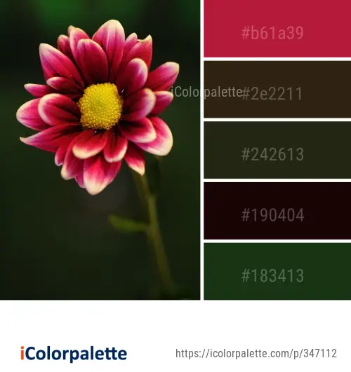 Color Palette Ideas from Flower Petal Flora Image