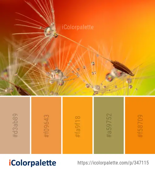 Color Palette Ideas from Close Up Macro Photography Sky Image