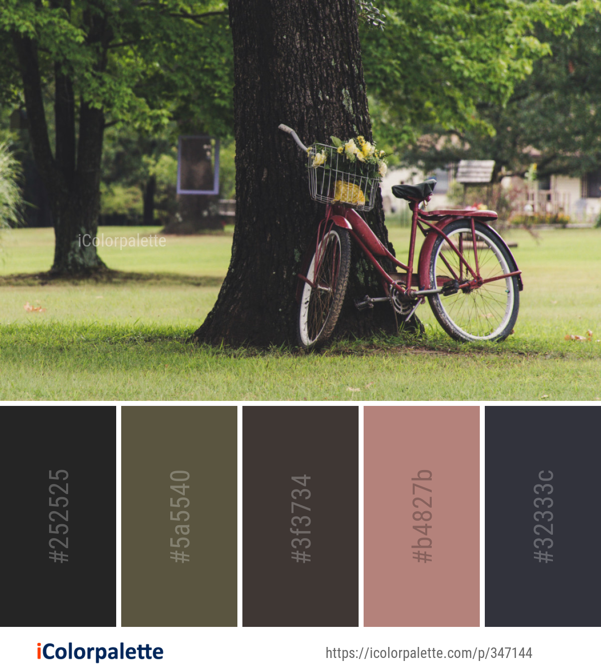Color Palette Ideas from Land Vehicle Bicycle Tree Image