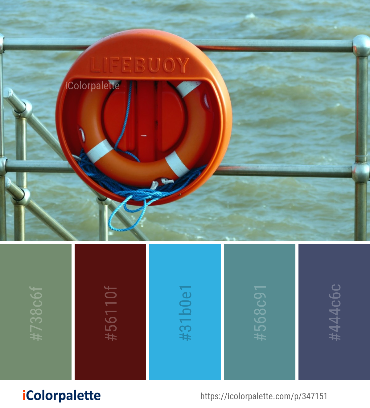 Color Palette Ideas from Lifebuoy Water Personal Flotation Device Image