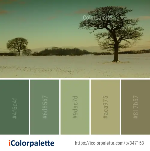Color Palette Ideas from Tree Sky Ecosystem Image
