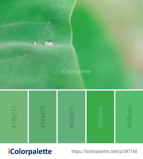 Color Palette Ideas from Water Green Dew Image