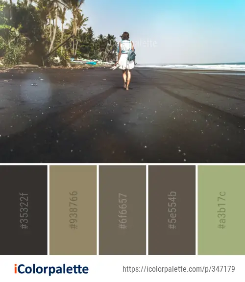 Color Palette Ideas from Beach Sea Body Of Water Image