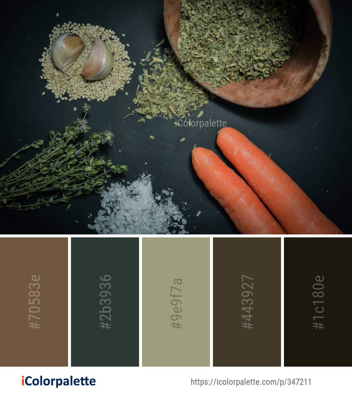 Color Palette Ideas from Mixture Image