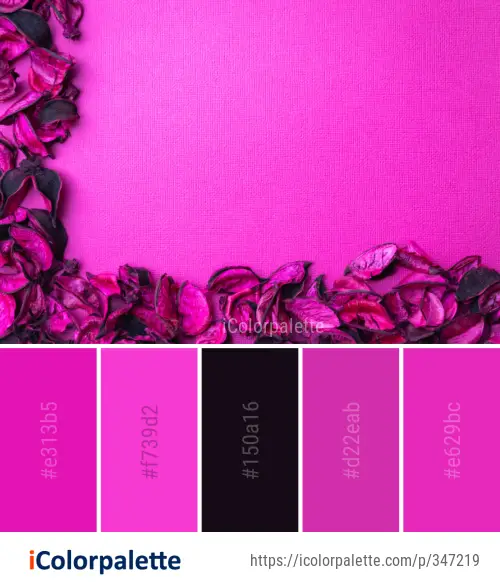 Color Palette Ideas from Pink Flower Red Image