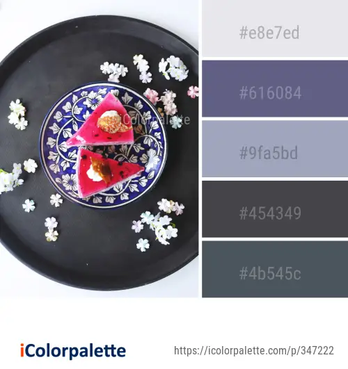 Color Palette Ideas from Plate Dishware Tableware Image