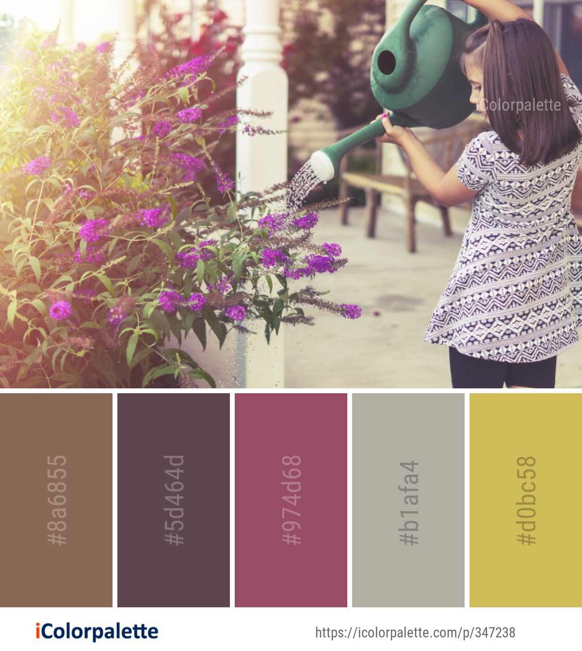 Color Palette Ideas from Flower Pink Purple Image