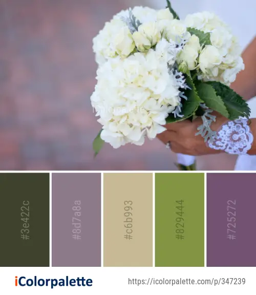 Color Palette Ideas from Flower Arranging White Image