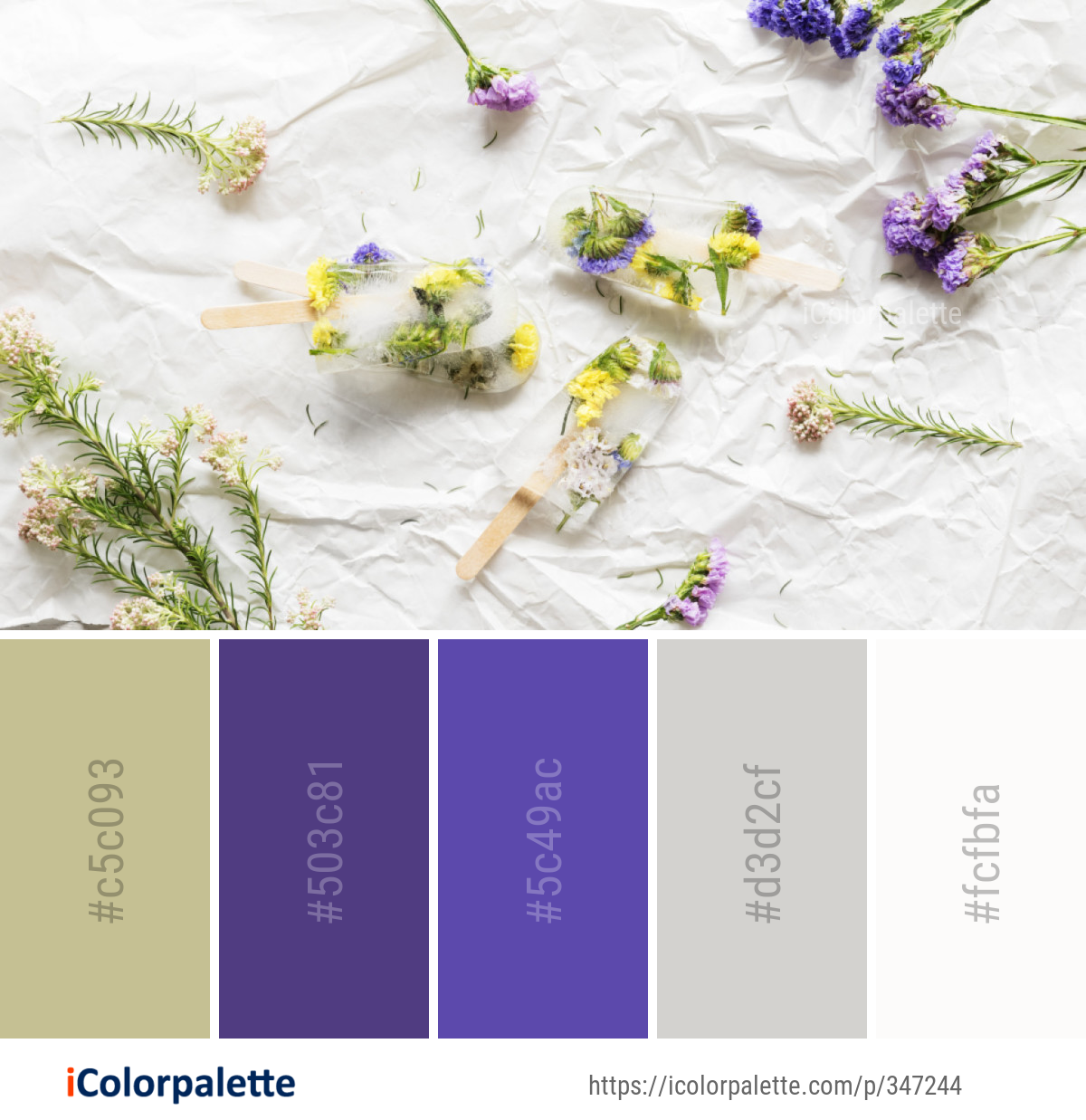 Color Palette Ideas from Flower Lavender Arranging Image
