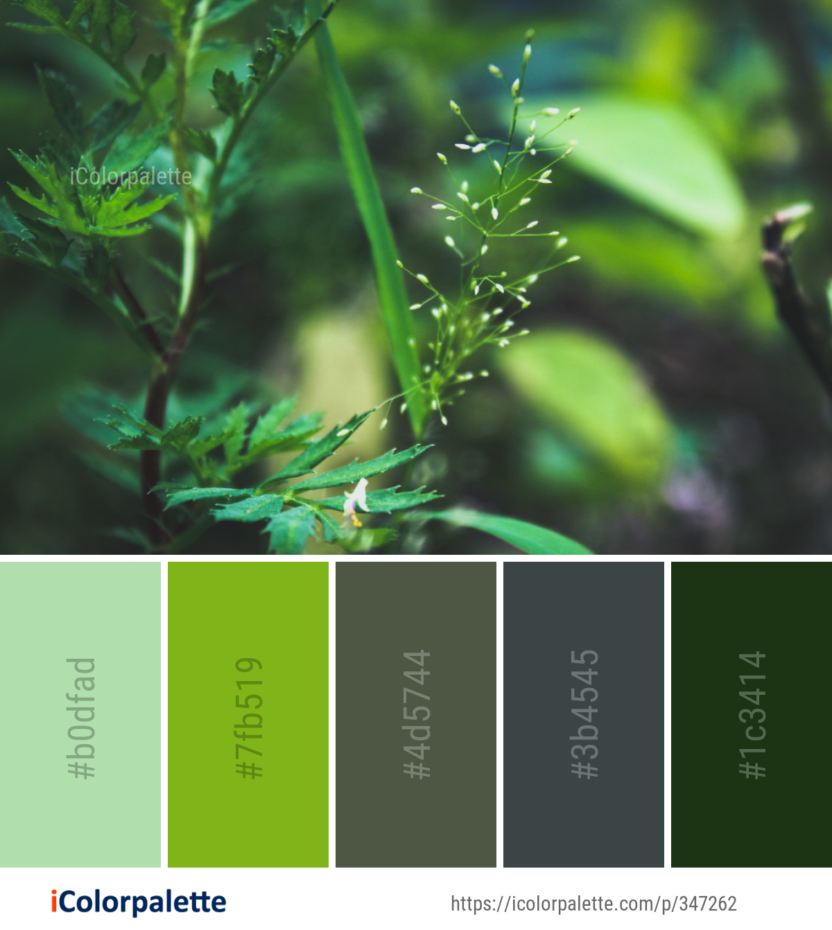 Color Palette Ideas from Vegetation Leaf Close Up Image